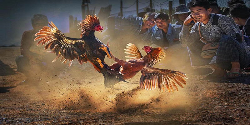 bet 789 xổ số bữa nay