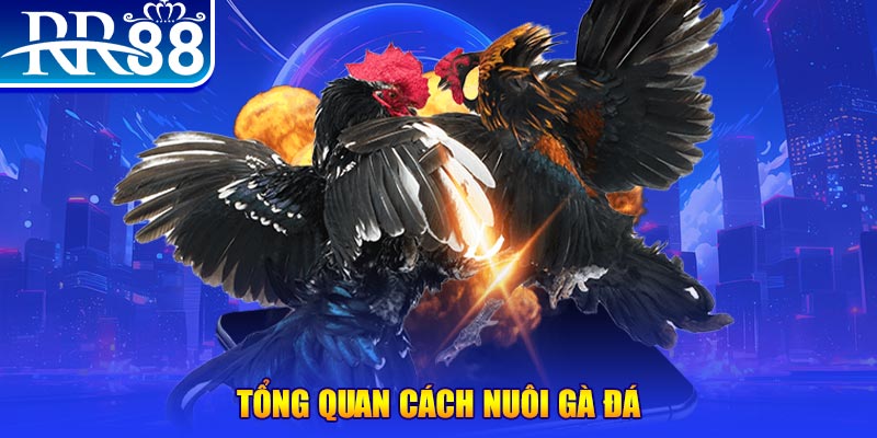 bet 789 game nổ hũ rút tiền mặt là gì