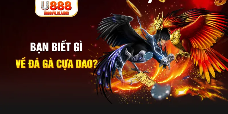 bet 789 SW Xổ Số