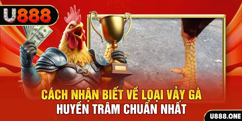 bet 789 đăng nhập nổ hũ số 1