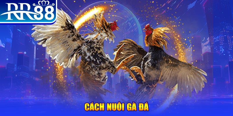 bet 789 đăng nhập phỏm đổi thưởng