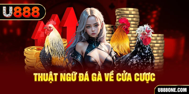 bet 789 hơn cả bạn bè
