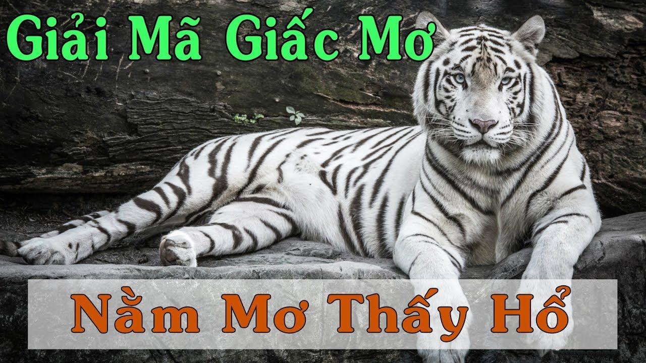 bet 789 nổ hũ là game gì