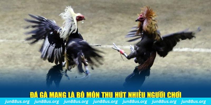 bet 789 nổ hủ nghĩa là gì