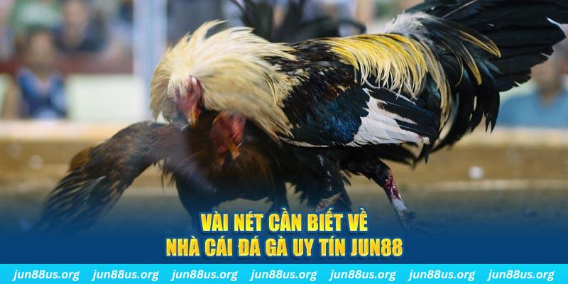 bet 789 đăng nhập phỏm khuyến mãi