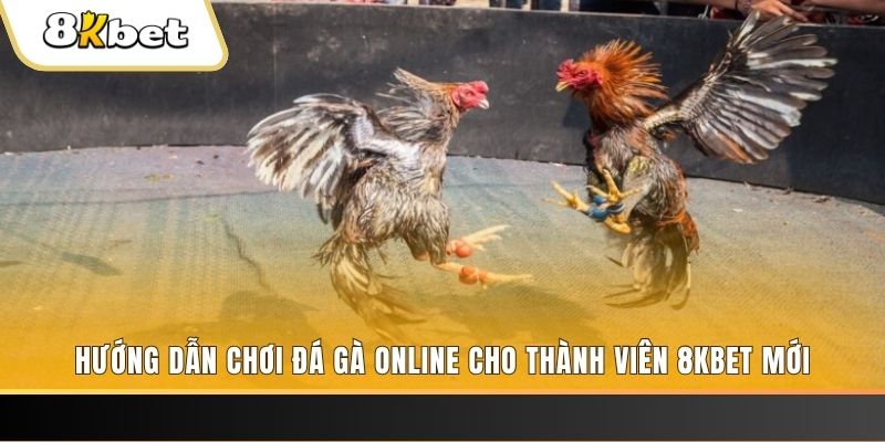 bet 789 JILI Game Bài 3d