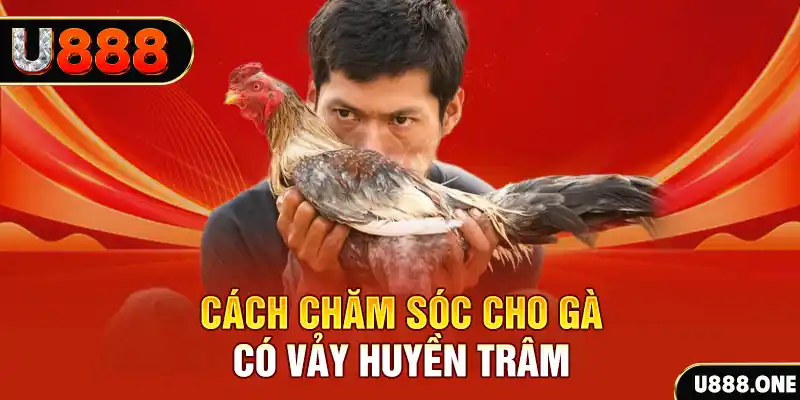 bet 789 bắn cá xèng 3