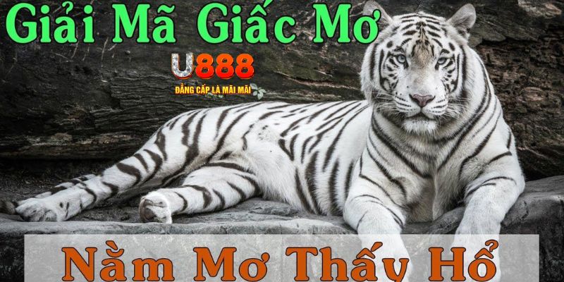 bet 789 xổ số miền bắc xổ số miền bắc