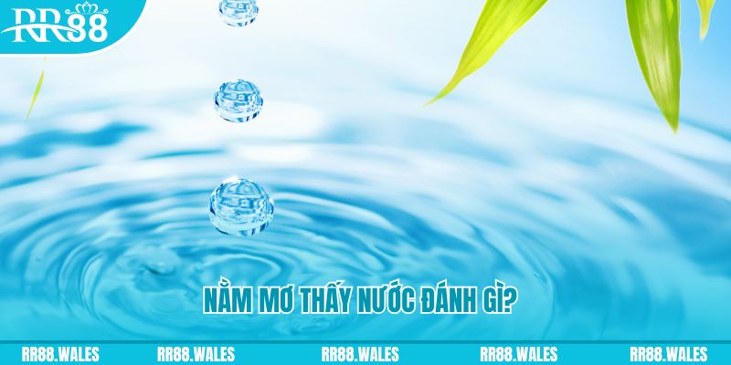 bet 789 TCG Xổ Số
