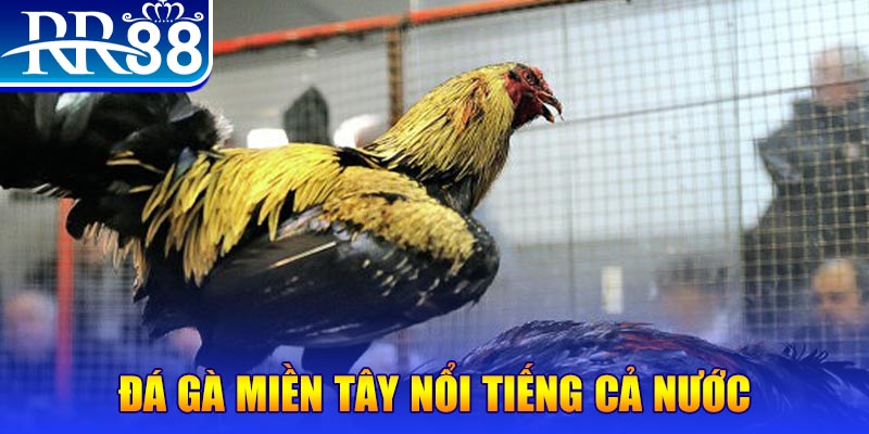 bet 789 xổ số đại phát