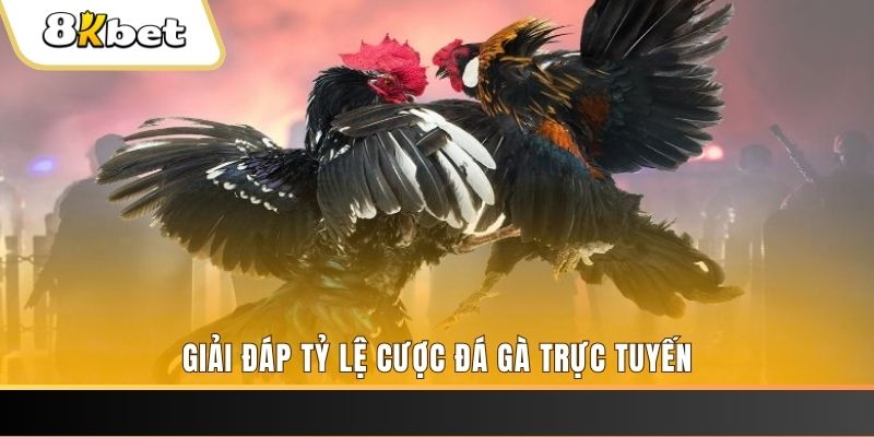 bet 789 ga choi cau thanh