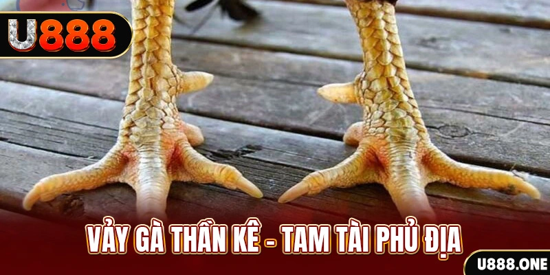 bet 789 xổ số miền trung thứ hai hàng tuần