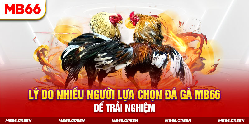 bet 789 tai game danh bai tien len mien nam ve may tinh