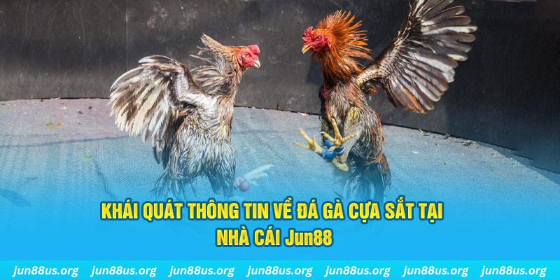 bet 789 xổ số miền bắc thứ bảy hàng tuần