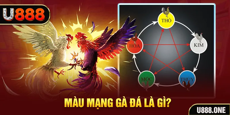 bet 789 xổ số miền trung thứ tư hàng tuần