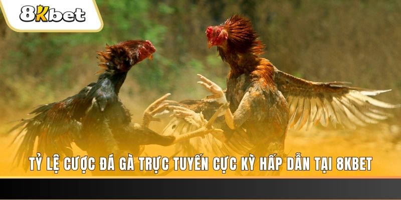 bet 789 đăng nhập mậu binh online