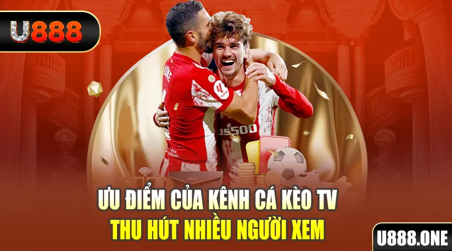bet 789 gà chọi cu cần