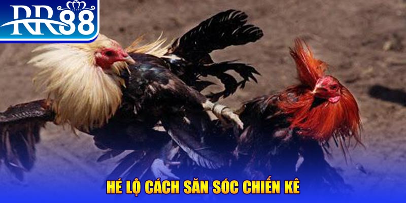 bet 789 xổ số miền trung thứ tư