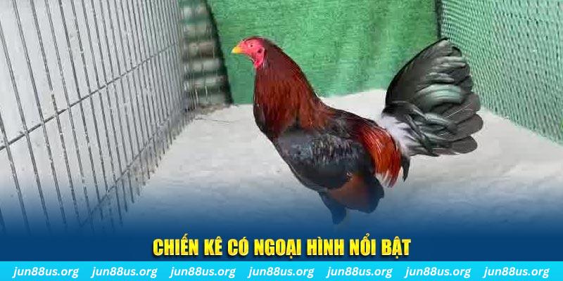 bet 789 game bắn cá