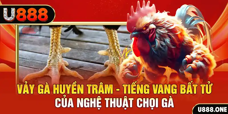 bet 789 đăng nhập roulette trực tuyến