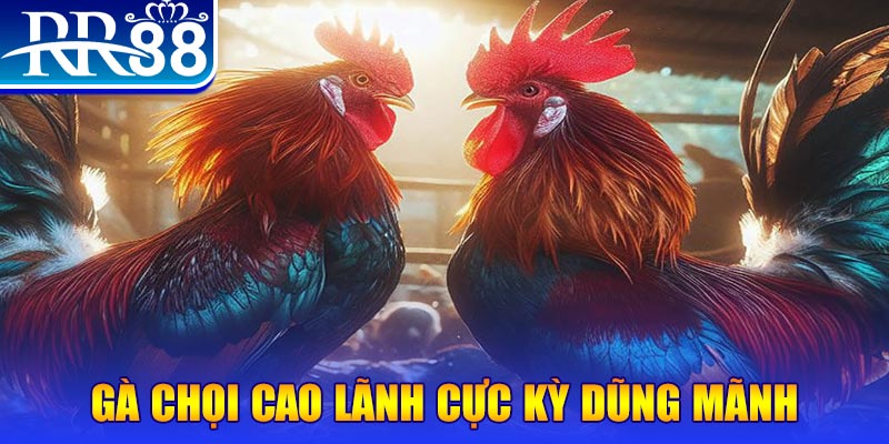 bet 789 HB Điện Tử