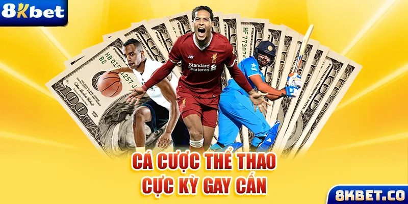 bet 789 xem đá gà trực tiếp